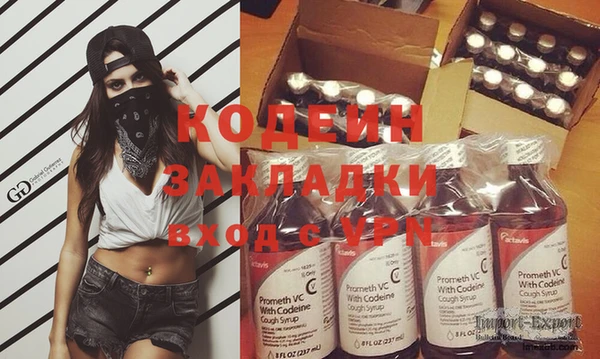 гашик Дмитриев
