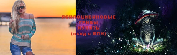 гашик Дмитриев